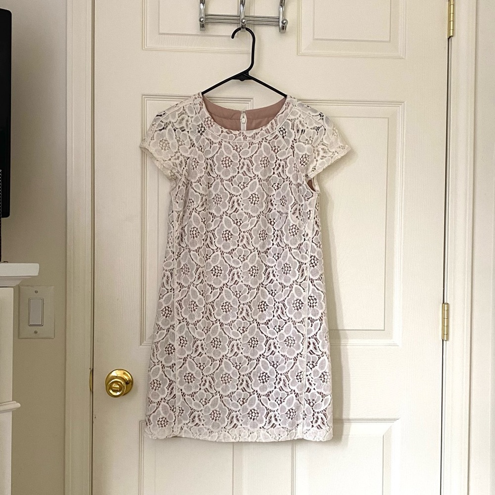 Ann Taylor Elegant Sheath Lace Dress
